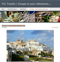 TLC Travels